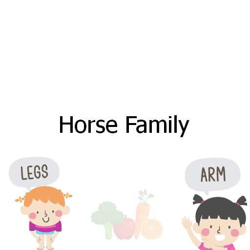 Horse Family